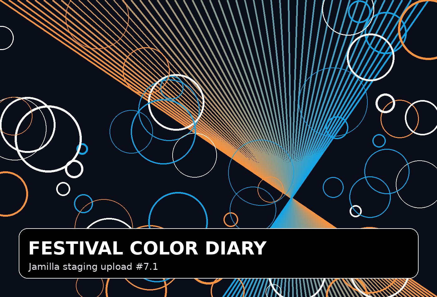 Festival Color Diary